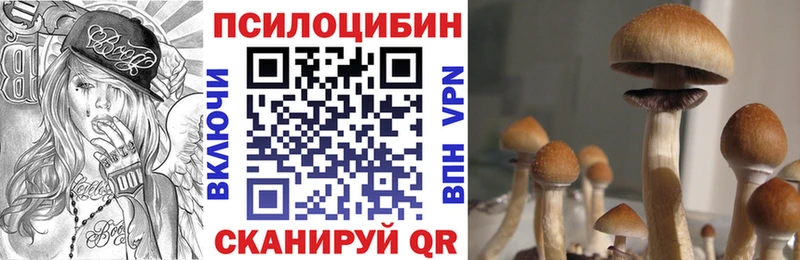Псилоцибиновые грибы MAGIC MUSHROOMS  даркнет сайт  Судак 